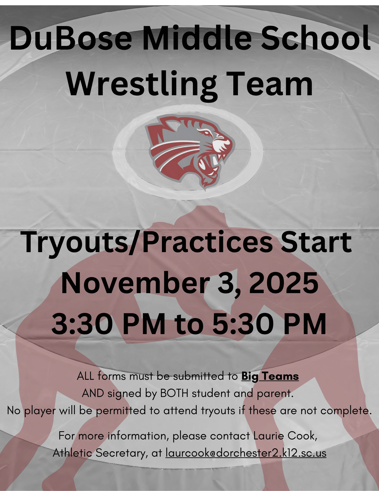 Wrestling Tryouts
